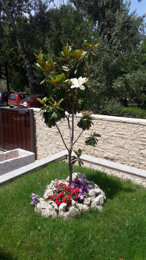 Apartament Ena *