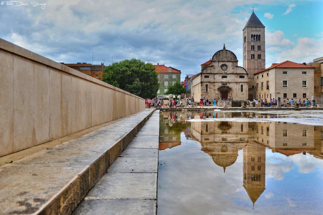 Ena * Zadar
